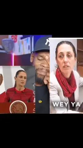 Extranjeros hablando de la presidenta. 