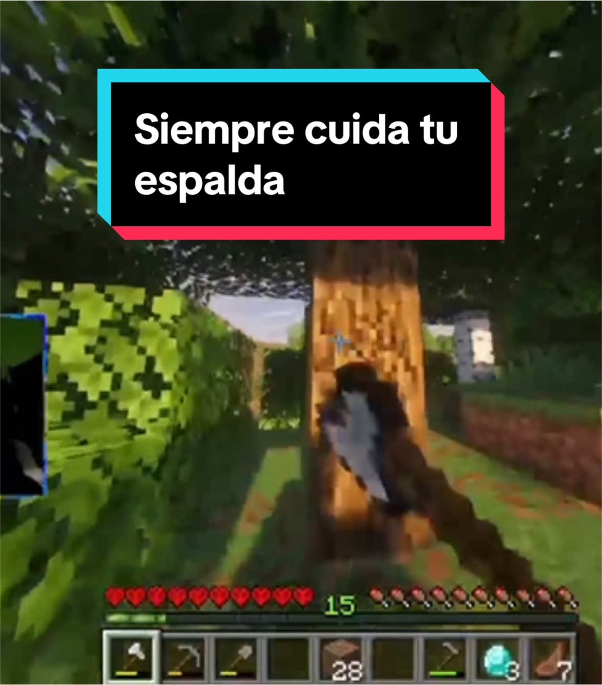 Bendito juego hermosoo - - - - - #Minecraft #minecraftmemes #creeper #parati #fyp 