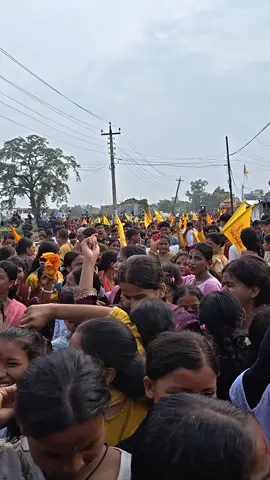 श्री कृष्ण रथ यात्रा हिन्दु हाम