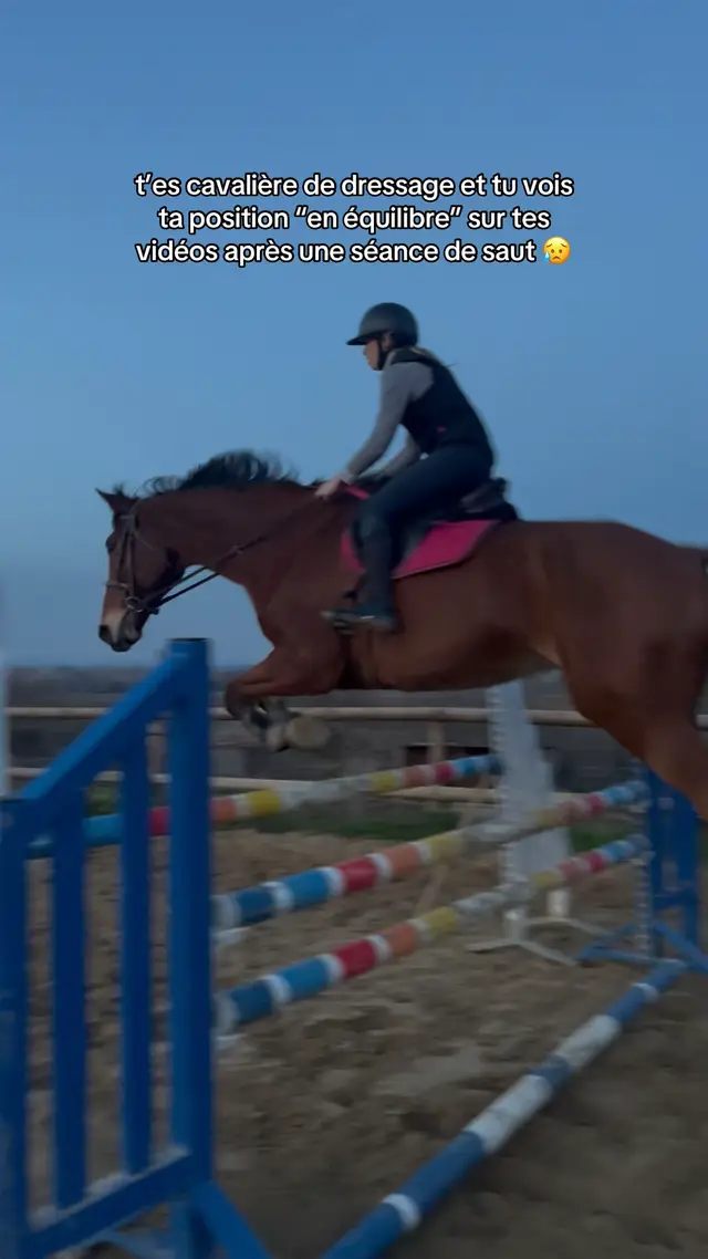 #fyp #viral #horse #horsesoftiktok #equestrian 