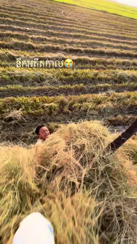 #នឹកអតីតកាល 😭#ទេសភាពស្រុកស្រែ🌄🏜️🌱🌼🌾🐟 #ព្រៃវែងផ្ទះខ្ញុំ ##មេសាងផ្ទះខ្ញុំ❤️🏘️🥰 #ជួយចុចfollowនិងអោយបេះដូងផង 