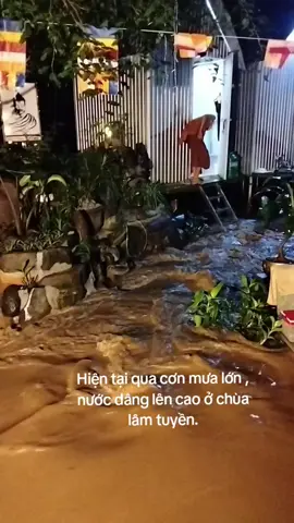 chỗ tu hành của chư Tăng trong mùa mưa lũ chính là thời kỳ An cư kiết hạ (vassa), thể hiện tinh thần thiểu dục, tri túc và uy nghi thanh tịnh giữa biến động thiên nhiên #tinhthatlamtuyen #nepal #theravada #phatgiaonguyenthuy #buddha 