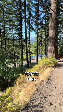 The hike vs the view definitely worth the hike 100/10😍 #heytheredelilah  #hike  #view  #trend  #oregon  @Gaspar @🦁Alfredo🦁 