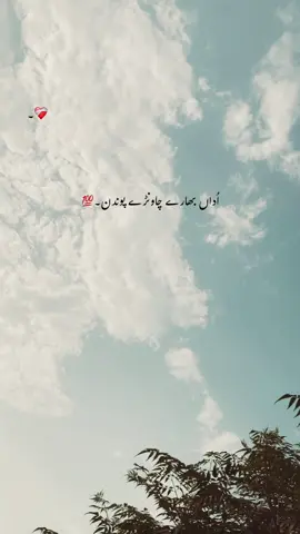 جداں ہوون سجنڑ مُصیبت وچ🥹💯#foryou #foryoupage #nimra_writer0 #punjabi #punjabipoetry 