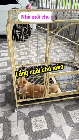 Lồng nuôi chó mèo không gian rộng rãi #longnuoichomeo  @shop.huyenmy17 #xuhuong 