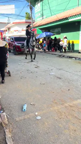 Etiqueten alos dueños delos caballos🐴🐎🐎😍😍