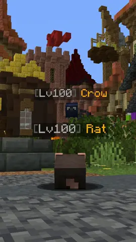 NICHE PET INTERACTION #hypixel #hypixelskyblock #skyblock 