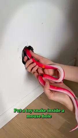 I bet you’ve never seen a trick like this before#lifetips #DIY #lifehacks #tricks #viral 