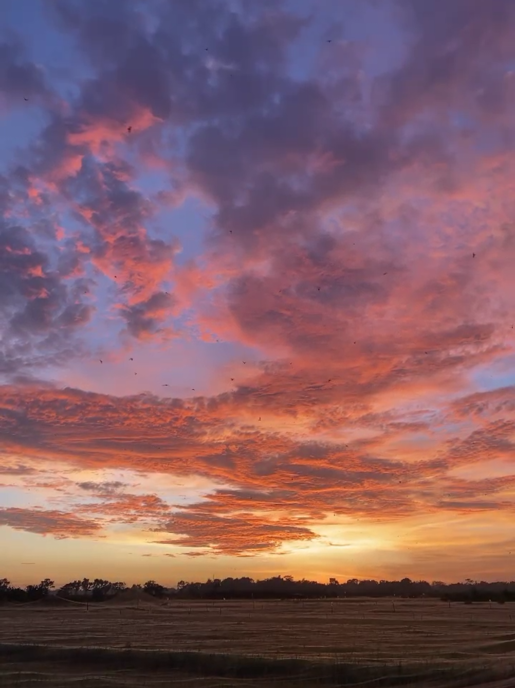 dipersilahkan kata-katanya king>> #sunset #katakata #trend #malang24jam #fyp 