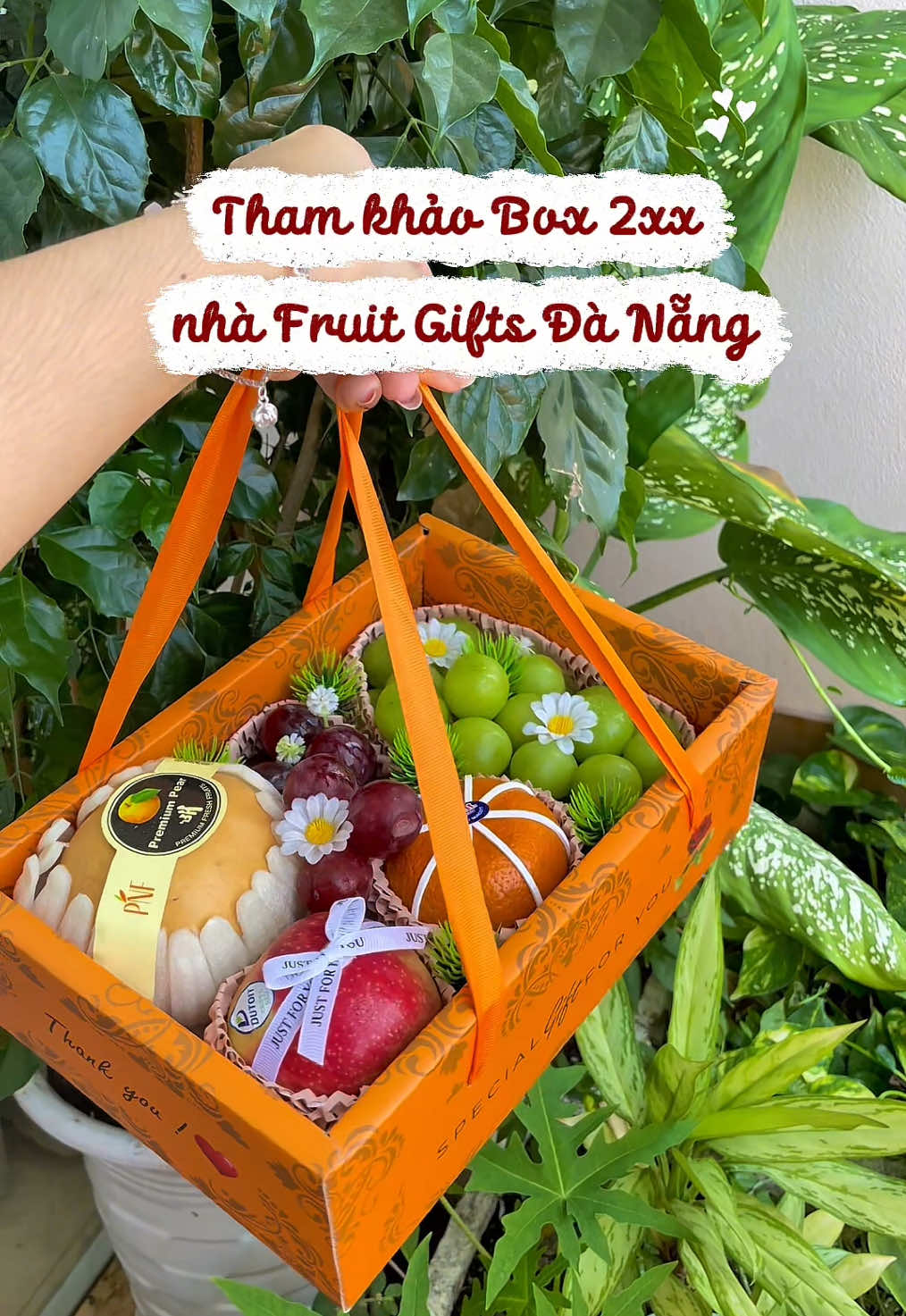 Ở đây có một chiếc Box nhỏ xinh❤️  #traicaynhapkhau #fruitgiftdanang #quatangsuckhoe #giftbox #boxquatang 