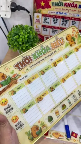 #xuhuong #TikTokShop99 #thoikhoabieu 