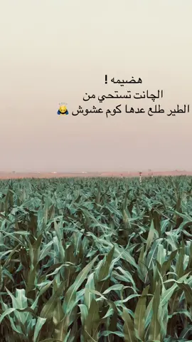 #هضيمه🥺💔 #تصويري📸 #شعراء_وذواقين_الشعر_الشعبي🎸 #لايك_متابعه_اكسبلور 