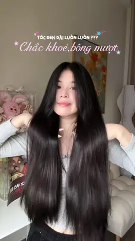 Cuối cùng thì hôm nay đã cũng có thể đu trend gloss hair trên mái tóc thẳng đen dài của Chip rùi 😭🩷  #goixahongbongtocloreal #tocmuotbongguong #hợptáccùngLOrealParis #haircare #hairtok 