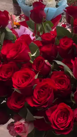 #🌹🌹🌹🌹🌹🌹🌹🌹🌹🌹🌹🌹 