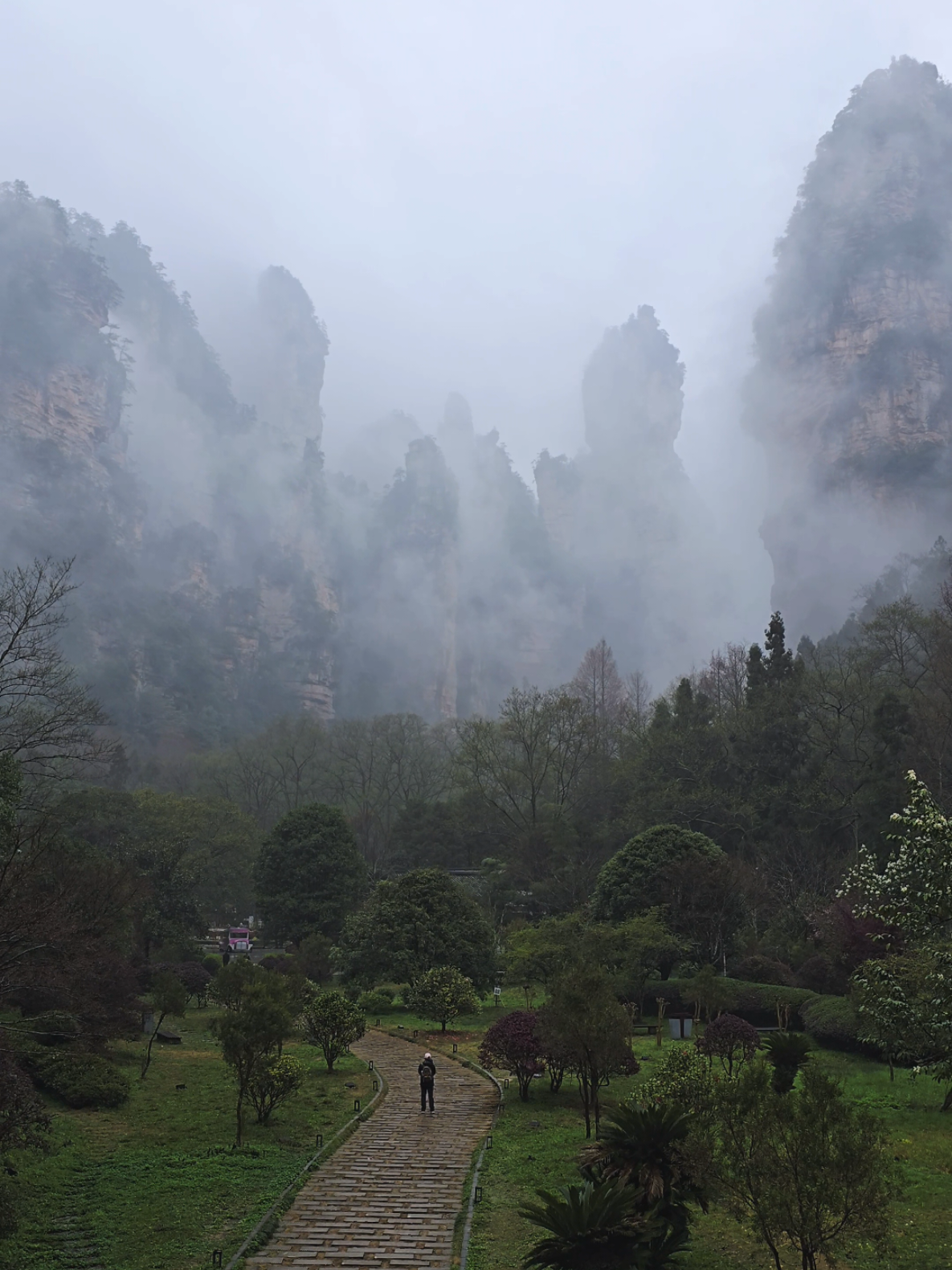 Breathe. #beautifuldestinations #mountains #scenicviews #travel #landscape 