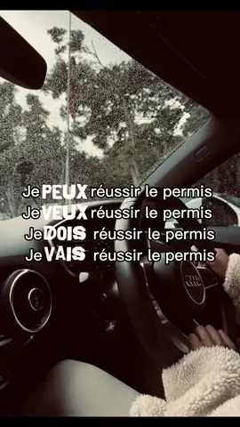 #CapCut #permis #conduite #permisdeconduire #pourtoiii 
