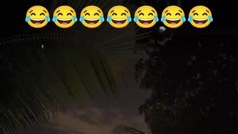 #الشعب_الصيني_ماله_حل😂😂 