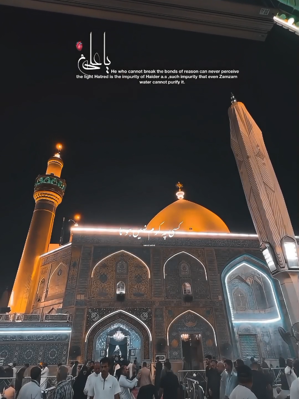 Ya Ali (a) 🫀✨🙌🏻 . . . #viewsproblem #viral #unfrezzmyaccount 