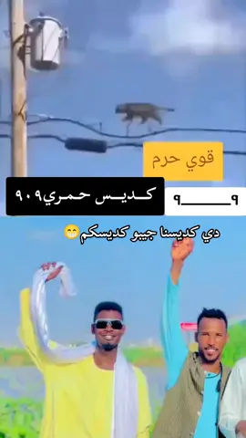 #الشعب_الصيني_ماله_حل😂😂 #yourbestlayeredlookforall #creatorsearchinsights #دارحمر_عزي_وفخري909💪❤ #مليون_مشاهدة❤ 