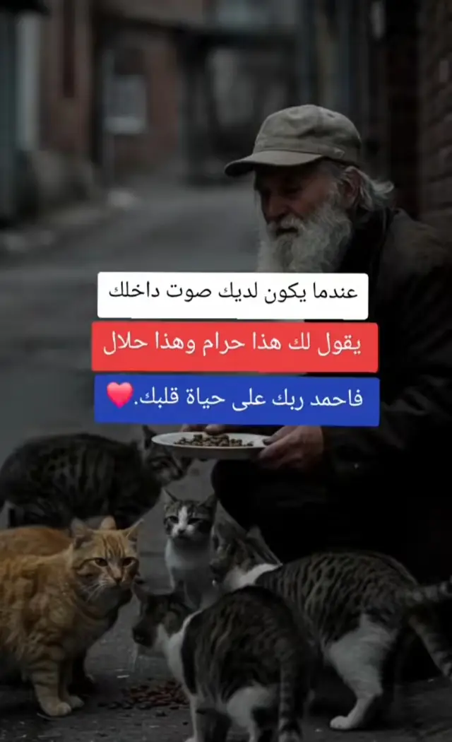 #عباراتي_المفضله #ابوني_ياك_باطل_ولا_حنا_مانستاهلوش #شعب_الصيني_ماله_حل😂😂 