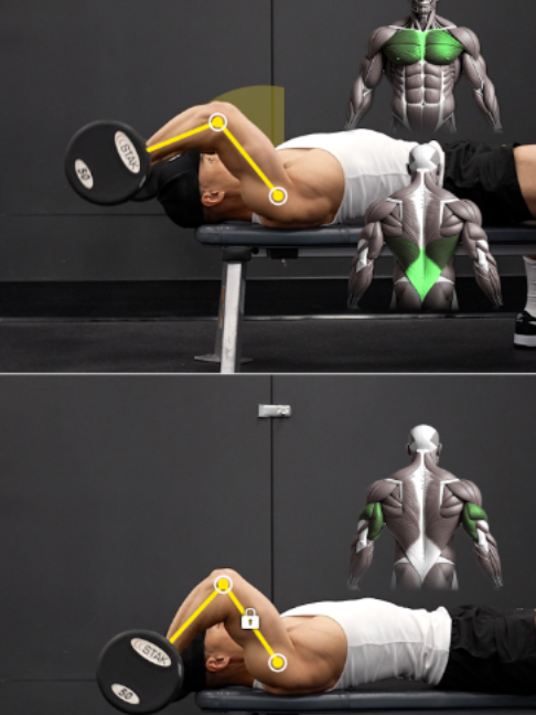 Pullover vs. Skull Crusher  They may look similar, but the movement happening at your elbows and shoulders is completely different. 🔹 Barbell Pullover: Your elbows remain slightly bent while your upper arms travel backward and forward at the shoulder. The movement is primarily shoulder extension/flexion, with relatively little change at the elbow. 🔹 Lying Triceps Extension: Your upper arms remain relatively stationary while your elbows bend and straighten. The triceps are responsible for extending the elbow and driving the movement. Same barbell. Similar starting position. Completely different joint actions — and different muscles doing the work. Size & Shred Training program 👉🏻 deltabolic.com (link in bio)