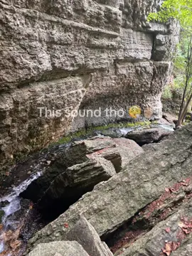 #xyzba #viraltiktok 