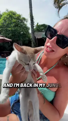 Can you believe we’re already in my fourth week in Thailand? How quickly has that gone?! I’m back with another Hannah diary, and SHOCK there’s been even more change! 😂 I’ve come back to Koh Samui. Back to my jungle paradise and the place where I found the most peace. I absolutely loved Phuket and genuinely thought it could become home, but I started noticing some of the same traits creeping back in that I had in the UK when it came to work. I wasn’t eating properly only big meals for collabs then snacking, I wasn’t drinking enough water, and I found myself becoming stressed because I’d taken on far too much work. That is not what I came to Thailand for. I’m so grateful that therapy has helped me recognise these patterns before I completely lose myself in them again. So, after another ten-hour journey across the south of Thailand, I’m back in Koh Samui and it feels right. This week, before I return to the UK, I need to view some houses and start making proper plans because one thing is now certain: this is where I’m going to settle. 🌴 #thailanddiaries #thailandtiktok #travelvlogger #HealingJourney 