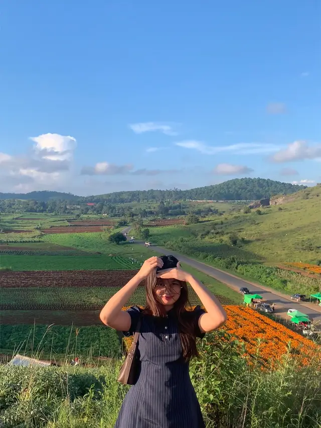 ဗျိုက်တောင်