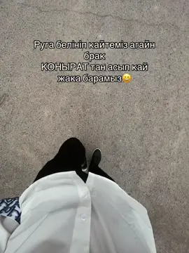 #рексгл #🚀🚀 