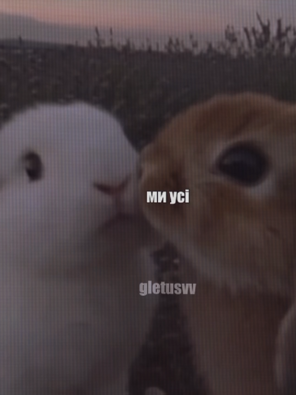 #а4 #влада4 #глент #владглент #влент