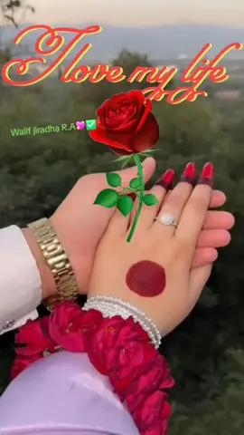 #tiktoknewfeature #vilarvideo 
