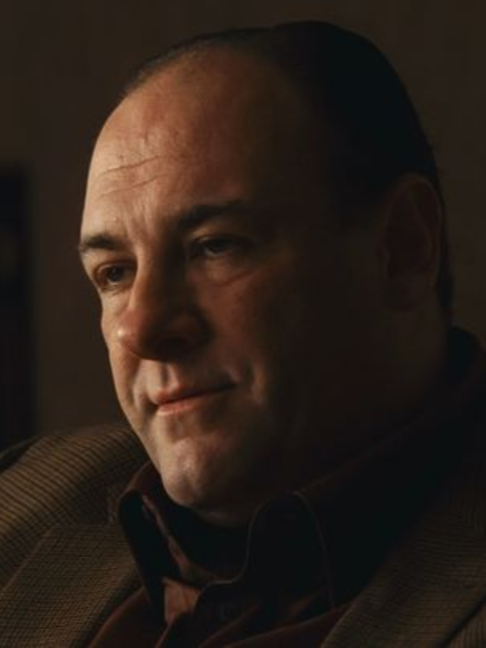 Greatest TV character ever? | #TonySoprano #TheSopranos #JamesGandolfini #HBO #TVShow #Edit #Fyp