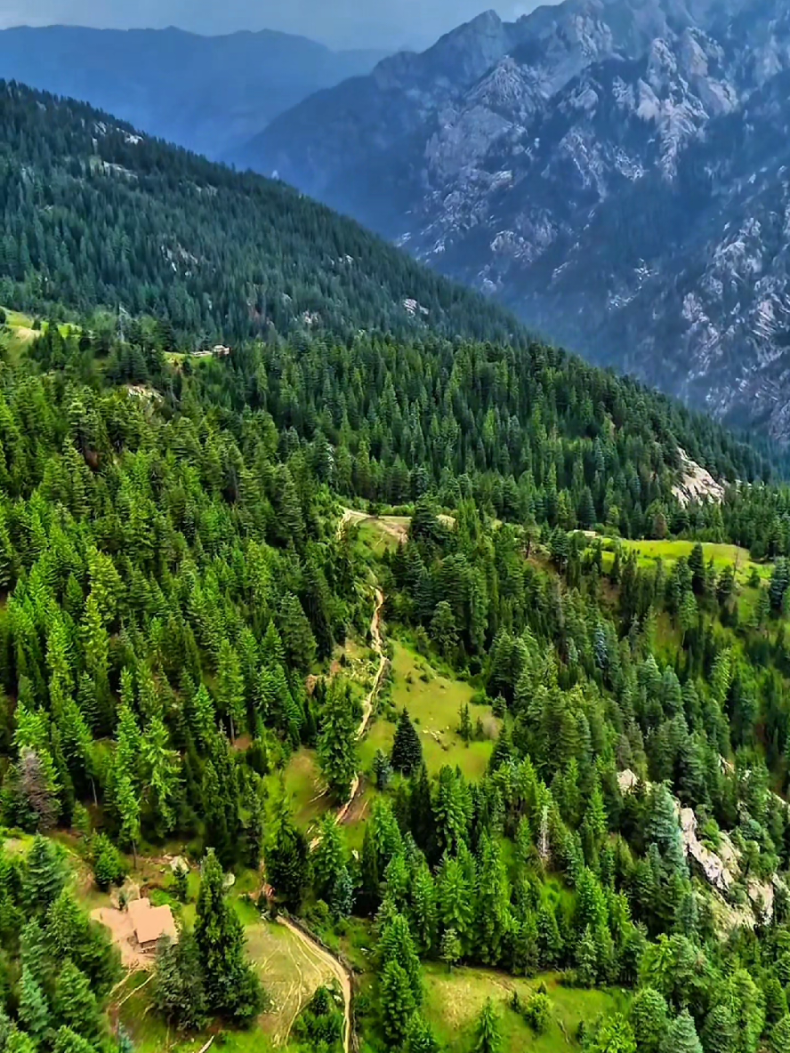 Kabul to Haska Mina, Nangarhar — breathtaking green mountains and the natural beauty of Afghanistan. 🇦🇫💚🌿 له کابله تر هسکې مېنې، ننګرهار پورې — شنه غرونه او د افغانستان زړه راښکونکې طبیعي ښکلا. 🇦🇫💚🌿 #Afghanistan  #Kabul  #Nangarhar  #fyp  #Nature 
