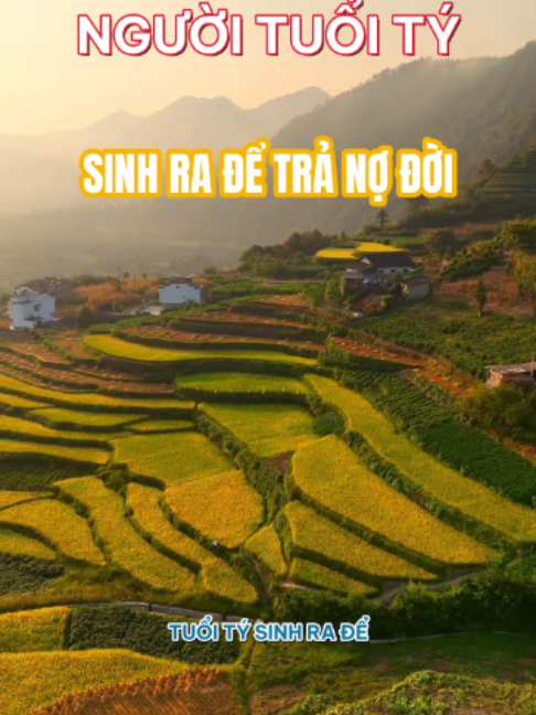 Người Tuổi Tý Sinh Ra Để Trả Nợ Đời #tuvicongiap #tuoity#phongthuy #xuhuong #tamlinh