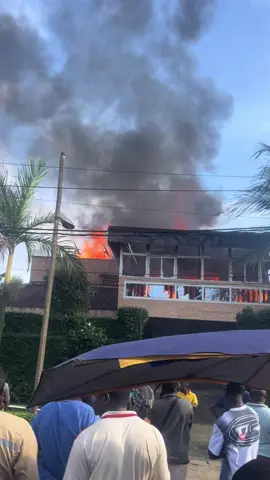Le maire est par la suite, après le traumatisme, il s'est rappelé que ses deux coffres fort y etaient encore sous les caresses moelleuses et agressives des flammes. Le maire comme un héro Zulu, a affronté les flammes pour sauver ses deux précieux bébés. #mairededouala #incendie #info #camerountiktok🇨🇲 #237🇨🇲 