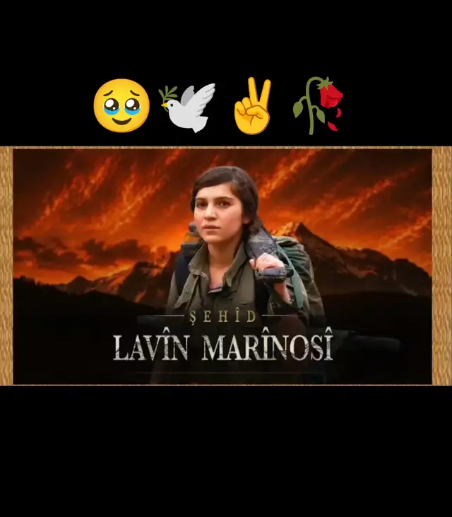 🥹✌️🥀ŞEHİD LAVîN🥀✌️🕊️