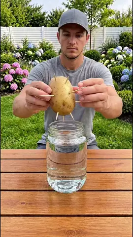 🌱💧 ¿Te gustaría aprender a cultivar sin tierra? El 10 de septiembre tendremos una CLASE GRATIS de hidroponía desde cero 🚀 No necesitas experiencia. Te mostraremos el proceso paso a paso para que puedas empezar a entender cómo funciona. 🥬✨ 👇 ¿Quieres estar dentro? Entra al grupo desde el enlace de mi perfil. #hidroponia #cultivaencasa #huerto #cultivos #agricultura