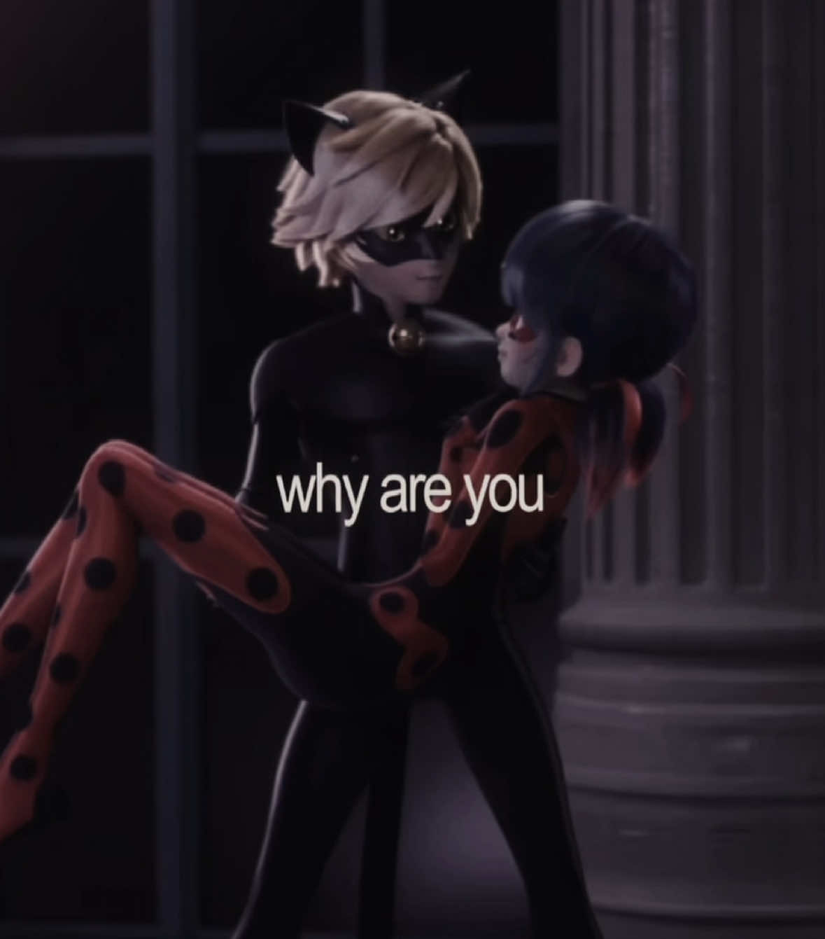 their love could in fact destroy the world                                                                                                                                                                                                                        — #MLB #miraculous #miraculousladybug #ladybugandcatnoir #ladynoir                                                                                                                                                                                                                                                                           🔎: miraculous/miraculous ladybug and cat noir/MLB/miraculous season 6/adrienette/ladynoir/marichat/love square/ladybug/marinette dupain cheng/chat noir/adrien agreste/soft/cute/love/song/lyrics/edit/clarity/zedd