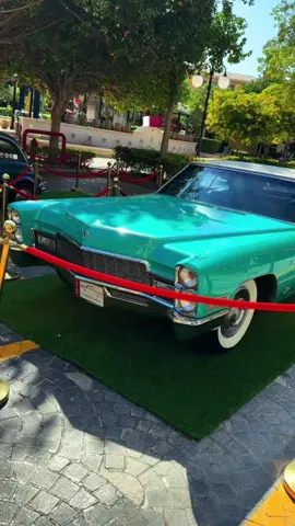 #viralvideo #qatertiktok🇶🇦 #🇶🇦🇶🇦🇶🇦🇶🇦🇶🇦🇶🇦🇶🇦🇶🇦🇶🇦 #foryou #foryoupage 