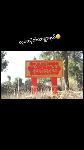 #တည်ပင်စခန်းရွာရဲ့ အလှများရွာကိုသတိရလိုတင်မယ်ကွာ😔#ထိုင်းရောက်အညာသူလေး🇹🇭🇲🇲 #ရေနံချောင်းသူလေး 