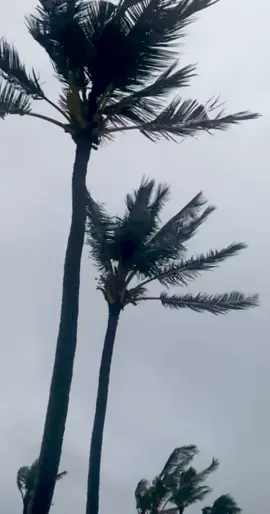 Our hearts are with Kauaʻi tonight. Sending our friends and ʻohana aloha, strength and wishes for safety through the storm. 🤍🌺 #kauai #hurricanelowell #poipu #hawaii #prayer 