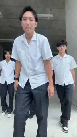 ポムポム横揺れ🕺