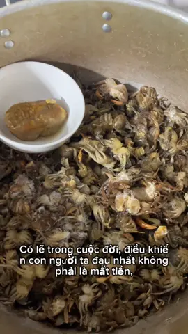 cuộc đời không bao giờ tránh được CHỮ NGỜ#HươngTĐ#xaykenhtiktok #xuhuong 