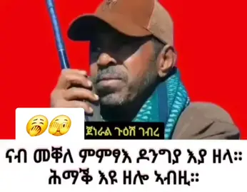 @ፈታዊ ለውጢ  copy ካባኻ!🤣 “ናብ መቐለ ምምፃእ ዶንግያ እያ ዘላ። ኣብዚ ሕማቕ እዩ ዘሎ” - ጀነራል ጉዕሽ ገብረ “ብምኽንያት ኣኼባ ዝጠፍእ ዘለኹ ተኾይነ ኣኼባ ኣቋሪፀ ዋላ ክመፀኪ እየ” - ጀነራል ጉዕሽ ገብረ እዛ ኣኼባ ኣቋሪፅካ ምኻድ ግን ልማድ ድያ ? ከመይ ኢሉ ሓደ ዓብይ ጀነራል ዝኣክል ንሓንቲ ጓል ኣንስተይቲ ኢሉ ኣኼባ ኣቋሪፁ ዝኸድ ? ሓደ ጀነራል እኮ ዓብይ ሃገራዊ ኣጀንዳ ዝዛተ እዩ። እዚ ዘተ እዚ ገዲፉ ይኸድ ማለት ድዩ ? ከም ኣጋጣሚ እዛ ድምፂ እዚኣ ሰሚዕናያ እምበር ካልኦት ቡዙሓት ኣኼባታት እውን ተቛሪፆም ይኾኑ እዮም። ጀነራል ጉዕሽ ገብረ ካብቶም ኣዝዮም ዝፈትዎም ጀነራላት እዩ ነይሩ። ክሳብ ናብ ኣዲስ ኣበባ ዝኸድ ዋላ እውን ተኣሲሩ እናሃለወ የኽብሮን ይፈትዎን እየ ነይረ። ሎሚ ናይ ሎሚ ኮይኑ ብናይ ትማሊ ቃልሱ ግን ሐዚ እውን ክብሪ ኣለኒ። ናይ ሎሚ ግን ናይ ሎሚ እዩ። እዚ ክሰምዕ ከለኹ ብጣዕሚ ይሓዝን። ኣብዚ ናይ ስልኪ ልውውጥ “ምስ ሓውካ እውን ተራኺብና ኢና። ዘይደወልና ኣኼባ ስለዝነበርካ እዩ” ምስ በለቶ “ወዳዲእኽምዎ ዲኹም ገና ?” ኢሉ እዩ ሓቲትዋ። እታ ዝውድእዋ ነገር ግን ኣይተገለፀትን። እንታይ እዮም ክውድኡ ? ዝብል እዝጊ ይፍለጦ። ኮይኑ ግን ጀነራል ጉዕሽን ሓውን እውን ከም ናይ በየነ መክሩ ምስ እዛ ጓል ዝውድእዎ ዝኾነ ቢዝነስ ወይ ንብረት ወይ ካልእ እንየ እዩ ማለት እዩ። ጀነራል ጉዕሽ “ትወዳድእዎ ዶ ኣለኹም?” ምስ በላ ግን እታ ጓል “ይወዳዳእ ኣሎ እዩ” እያ ኢላቶ። ንሱ እውን “በቃ እሞ ኪዱ” ኢልዋ። እቲ ሓው ኣብ ናይ ቢዝነስ ስራሕ ዘሎ ሰብ እዩ።  ጀነራል ጉዕሽ ገብረ ብህወሓት ዝሓለፈን ምስ ህወሓት ዝሰረሐን ሰብ እዩ። ይሕመቕ ይፀብቕ ምስ ብፆቱ ኮይኑ ተቓሊሱ እዩ። ምስ መራሕቲ ህወሓት ኮይኑ ተቓሊሱ እዩ። ነዚኣቶም ምስ ካልእ ናይ ደገ ሰብ ኮይኑ ክሓምዮምን ክፀርፎምን ከም ምርኣይ ግን ዘሕፍርን ነገር የለን። ክብሪ ብፆትካ ዝበሃል እኮ ኣሎ። ካብ ሓደ ዓብይ ጀነራል ከምዚ ትፅቢት ኣይግበርን። ትማሊ ምስኡ ሕማቕን ፅቡቕን ዘሕለፉ ብፆቱ ምስ ሓንቲ ጓል ኣንስተይቲ ኮይኑ “ኩሎም ሕማቓት እዮም” ብምባል ክፀርፎምን ክሓምዮምን ምርኣይ ንዓይ ካብቲ ትማሊ ዘኽብሮ ዝነበርኩ ጀነራል ትፅቢት ዘይግበር እዩ። (ተፃራፋይ ዝብልዎ ዘለው እኳ ንተስፋይ ታደሰ እዩ) ምስ ኮ/ል ንጉስ (ወለጋ) ኣተሓሒዛ ዝተዛረበቶ እኳ መሕፈሪ እዩ። ከመይ ኢሎም ብፆት ዝኣኽሉ ሓንቲ ጓል ኣንስተይቲ ምስ ክልቲኦም እናዋገዐት ትሽውዶም ? ኣብ ካልእ ዘይተለጠፈ ናይ ወለጋ ድምፂ ድማ ብዛዕባ ጉዕሽ ካልእ እያ ትዛረብ። እቲ ድምፂ ኣብ ዝቕፅል ክልጥፈልኩም እየ። ብዝኾነ ግን መሕፈሪ እዩ። (ሱቕ ኢለ ክሰግሮ) ብዛዕባ እቶም ካልኦት ነበር ኣዘዝቲ ሰራዊት ዝዛረቦ ዘሎ እኳ ሓውሲ ቀልዲ እዩ። ካውኡ ቀፂላ ትሓቶ ድማ ብዛዕባ ኣኼባ ምእታውን ምውፃእን እዩ። ከይዳ ከይዳ ትሕቶ ሕቶ ብዛዕባ ኣኼባ እዩ ኣብ ሕድ ሕድ ስልኪ ዝርርብ። ሕድ ሕድ ዝኣትውዎን ዝውድእዎን ኣኼባ ሪፖርት እዮም ዝገብሩ። ኣኼባታት ንደገ ሰብ Online ይዝረቡ ማለት እዩ። ኣብ መቐለ ዝካየዱ ዝነበሩ ኣኼባታት ሰራዊት እውን ከምኡ ማለት እዩ። ብዛዕባ ጀነራል ታደሰ ኩሎም ኣብ ኣዲስ ኣበባ ዘለው ጀነራላት ክዛረቡ ከለው ድማ ይፀርፍዎን ይባጭውሉን እዮም። ኩሎም ብማዕረ ዝፀርፍዎ ንምንታይ እዩ ? “ጀነራል ታደሰ ኣይወርድን ይብል ኣሎ” ምስ በለቶ “ኣይወርድንያ...ጎቲቶም ከውርድዎ እዮም። ተስፋ እማ ኣይቑረፅ ክሳዕ ዝጎትዎ” ብምባል ንጀነራል ታደሰ ከባጭወሉ እዩ ዝስማዕ። እታ ጓል “ናብ መቐለ መዓዝ ኢና ክንኣቱ” ምስ በለቶ ድማ  ጀነራል ጉዕሽ “ዶንግያ እያ እንያ” ኢሉ ዝተዛረባ ግን ብጣዕሚ እያ ኣስሒቓትኒ 🤣  ካብ ህዝብኻ ወፂእኻ ኣብ ትሕቲ ፀላኢ ተኾይንካማ ክትድንጉየካ እያ እምበር ታይ ድኣ ኣያዋ። ኣብ ዓድኻ ምስ ህዝብኻን ብፆትካን እዩ ጥዑም ነይሩ። ኣብ መወዳእታ ክሳብ ሐዚ ናብ መቐለ ንምእታው ዝደንጎየሉ ምኽንያት ክገልፅ ከሎ ድማ “ምርጫ ግዛዕምዛዕ እንድዮም እናበሉ ሕማቕ እዩ ዘሎ። ሕማቕ እዩ ዘሎ. ...ሕማቕ እዩ ዘሎ” ብምባል የስቆንቁን። ሎሚ መረፃ ሓሊፉ እንየ። ናብ መቐለ መዓዝ ከም ዝመፁ ኣብ ዝቕፅል ክነግሩና ትፅቢት ይግበር😜 እዛ “ጠስጣስ ኣረጊት” ትብል ግን ንኹላቶም ድያ ትጥቀመላ ? ጠስጣስ ኣረጊትያ¡ 😂 #😂 #🤣 #share #copylink #viralvideos 