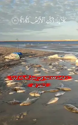 د قیامت لویه نښه رسول الله ﷺ فرمایلي دي: «قیامت به تر هغه نه راځي، څو فرات سیند د سرو زرو یو غر راڅرګند نه کړي. خلک به د هغه پر سر جګړه وکړي، او له هر ۱۰۰ کسانو څخه به ۹۹ کسان ووژل شي؛ او هر یو به وایي: کېدای شي زه هغه څوک واوسم چې وژغورل شم.» 📚 صحیح مسلم، حدیث ۲۸۹۴ د ارجنټاین د سیند د اوبو کمېدل موږ ته د دې حدیث یادونه کوي؛ خو حدیث په ځانګړي ډول د فرات سیند په اړه دی . نو باید خپل دین او ایمان ته لا ډېر متوجه شو، توبه وباسو، لمونځونه وساتو او د الله تعالی لوري ته راوګرځو. 🤲❤️  #creatorsearchinsights  #argentina #ocean   