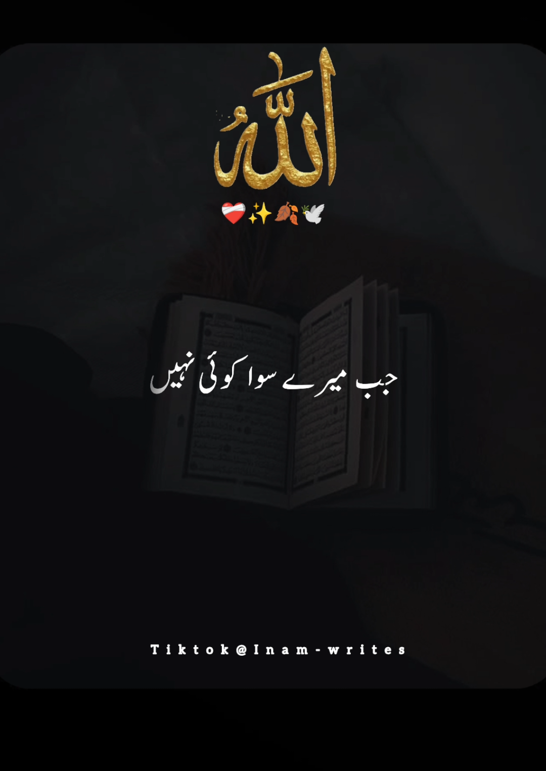 Beshak❤️‍🩹 #islamicpost #foryoupagе #viralvideos #unfreezemyaccount #growmyaccoun 