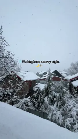 I'm waiting for the snow...☃️❄️🌨️ #wintervibes #christmastok #christmasvibes #christmas #snowfall