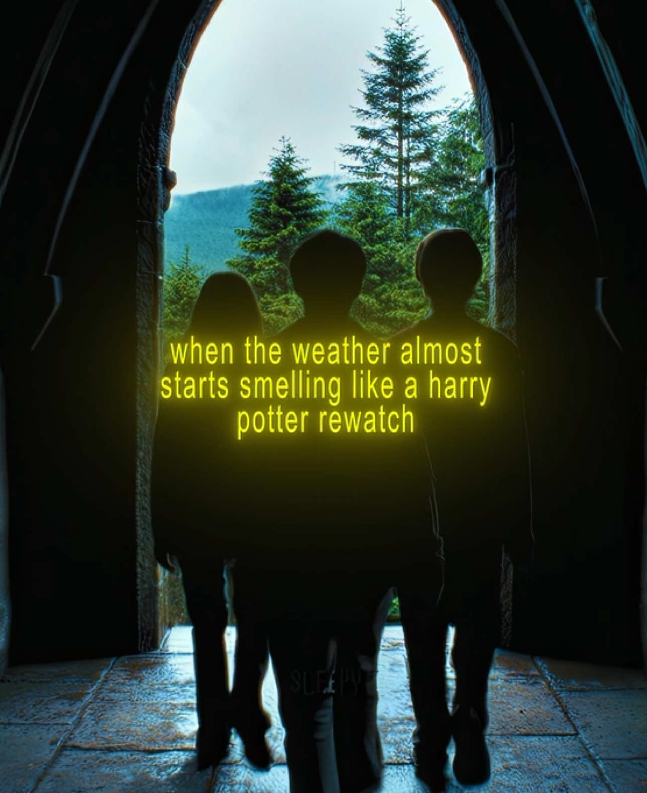 It’s time to rewatch Harry Potter || Harry Potter edit || Daniel Radcliffe edit || Emma Watson edit || Hermione Granger edit || Smooth edit || Draco malfoy edit || Tom Felton edit || #harrypotter #hermionegranger #emmawatson #edit #fyp 