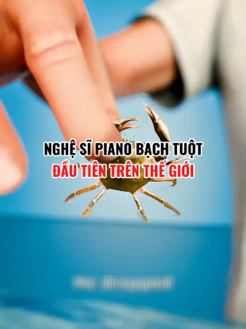 Nghệ sĩ piano bạch tuột đầu tiên trên thế giới  #banchuabiet #suthatthuvi #khampha #khoahoc #fyp