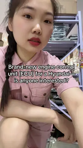 Brand-new engine control unit (ECU) for a Hyundai—is anyone interested?#ECU #Body computer board#Hyundai#Kia Motors#BCM